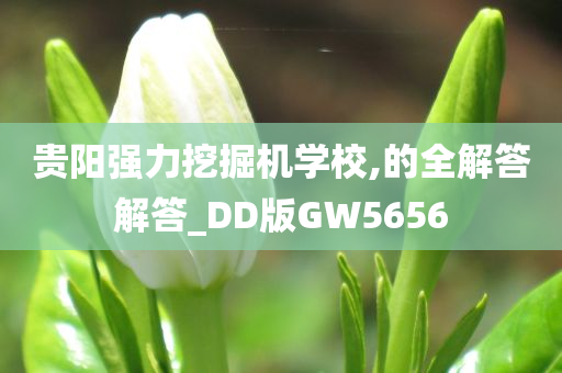 贵阳强力挖掘机学校,的全解答解答_DD版GW5656