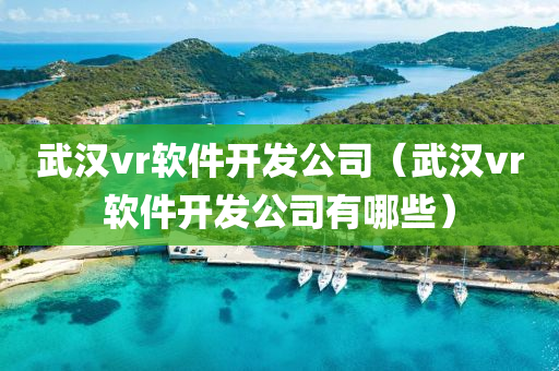 武汉vr软件开发公司（武汉vr软件开发公司有哪些）