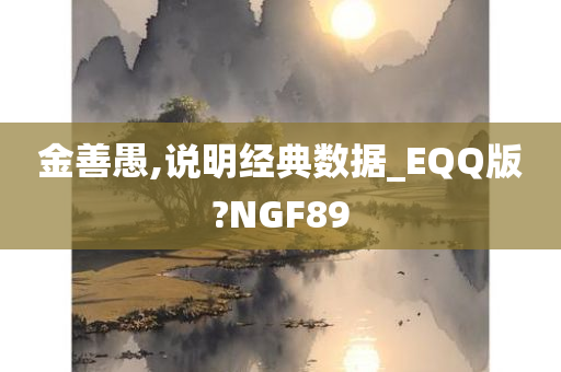 金善愚,说明经典数据_EQQ版?NGF89