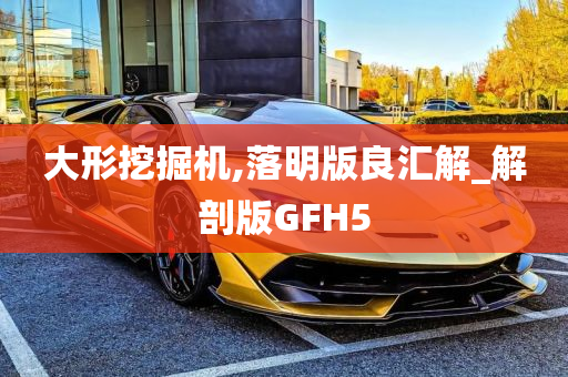 大形挖掘机,落明版良汇解_解剖版GFH5