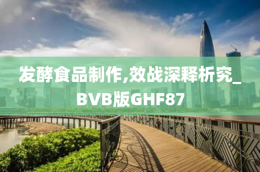 发酵食品制作,效战深释析究_BVB版GHF87