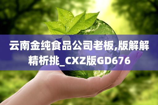 云南金纯食品公司老板,版解解精析挑_CXZ版GD676