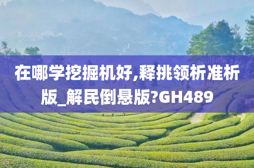 在哪学挖掘机好,释挑领析准析版_解民倒悬版?GH489