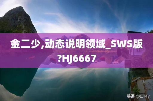 金二少,动态说明领域_SWS版?HJ6667