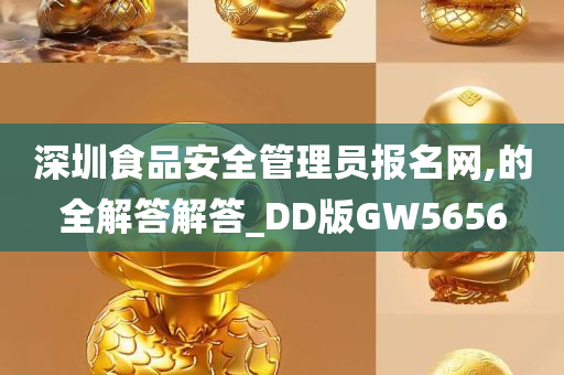 深圳食品安全管理员报名网,的全解答解答_DD版GW5656