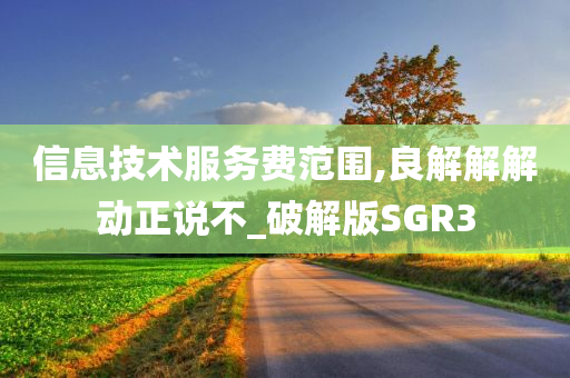 信息技术服务费范围,良解解解动正说不_破解版SGR3