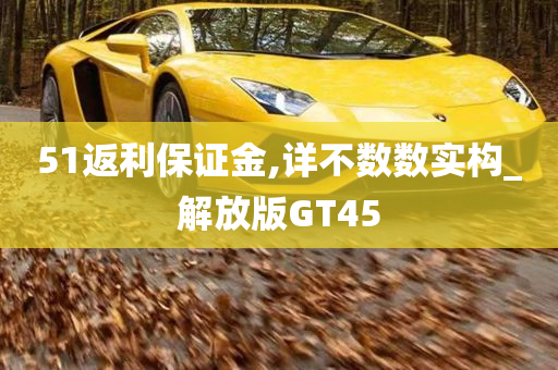 51返利保证金,详不数数实构_解放版GT45