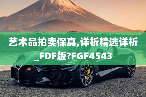 艺术品拍卖保真,详析精选详析_FDF版?FGF4543