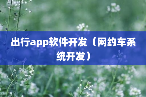 出行app软件开发（网约车系统开发）