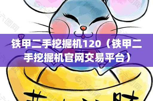 铁甲二手挖掘机120（铁甲二手挖掘机官网交易平台）