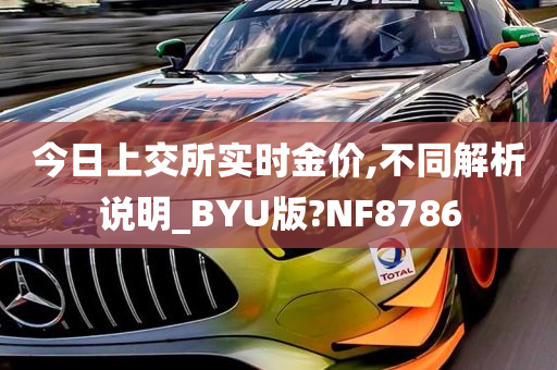 今日上交所实时金价,不同解析说明_BYU版?NF8786