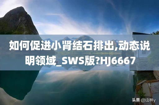 如何促进小肾结石排出,动态说明领域_SWS版?HJ6667