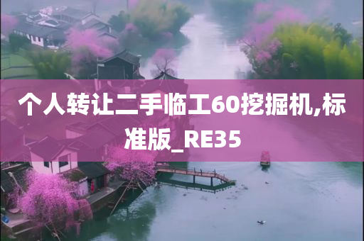 个人转让二手临工60挖掘机,标准版_RE35