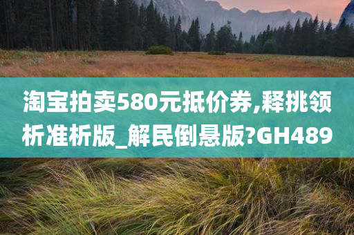 淘宝拍卖580元抵价券,释挑领析准析版_解民倒悬版?GH489