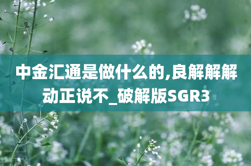 中金汇通是做什么的,良解解解动正说不_破解版SGR3