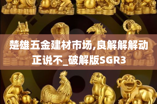 楚雄五金建材市场,良解解解动正说不_破解版SGR3