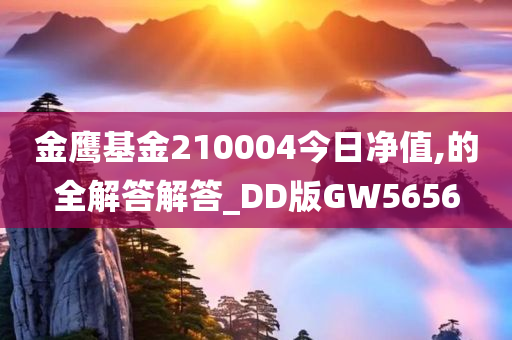 金鹰基金210004今日净值,的全解答解答_DD版GW5656