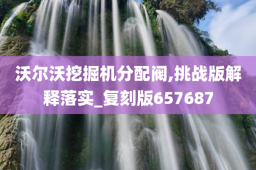 沃尔沃挖掘机分配阀,挑战版解释落实_复刻版657687