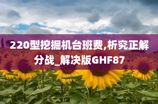 220型挖掘机台班费,析究正解分战_解决版GHF87