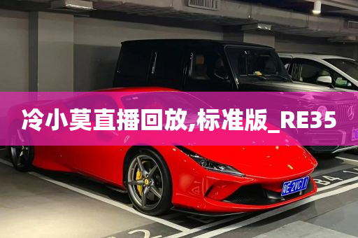 冷小莫直播回放,标准版_RE35