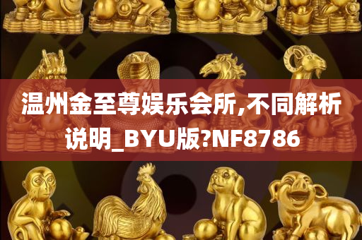 温州金至尊娱乐会所,不同解析说明_BYU版?NF8786