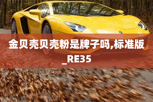 金贝壳贝壳粉是牌子吗,标准版_RE35