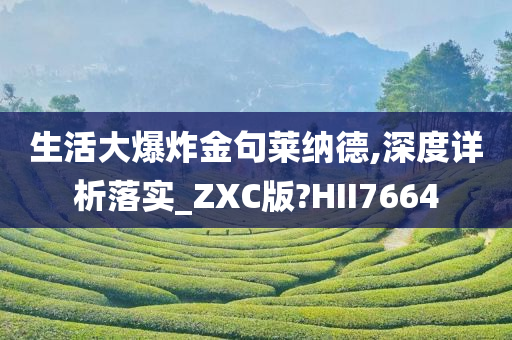 生活大爆炸金句莱纳德,深度详析落实_ZXC版?HII7664