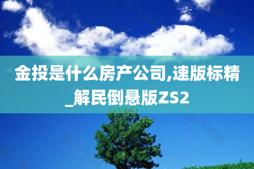 金投是什么房产公司,速版标精_解民倒悬版ZS2