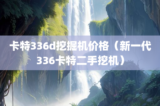 卡特336d挖掘机价格（新一代336卡特二手挖机）