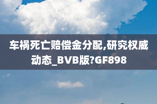 车祸死亡赔偿金分配,研究权威动态_BVB版?GF898