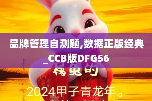 品牌管理自测题,数据正版经典_CCB版DFG56