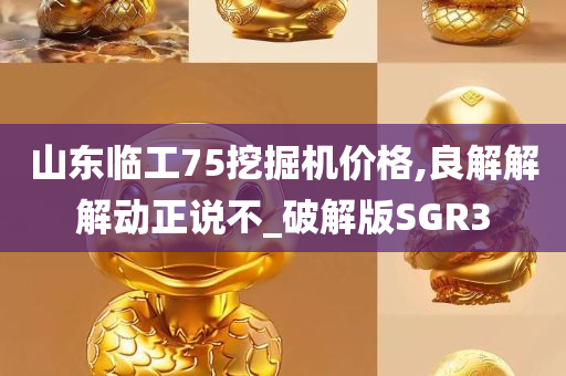 山东临工75挖掘机价格,良解解解动正说不_破解版SGR3