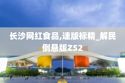 长沙网红食品,速版标精_解民倒悬版ZS2