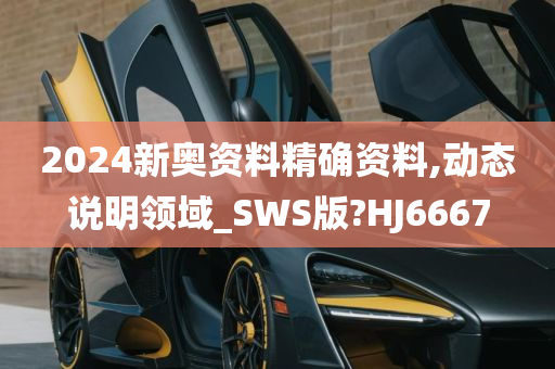 2024新奥资料精确资料,动态说明领域_SWS版?HJ6667