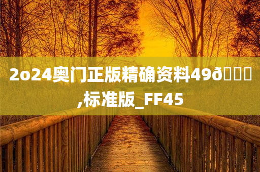 2o24奥门正版精确资料49🐎,标准版_FF45