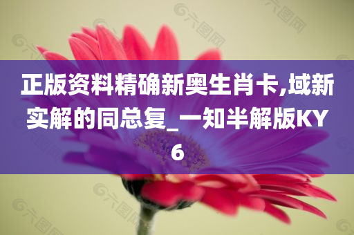 正版资料精确新奥生肖卡,域新实解的同总复_一知半解版KY6