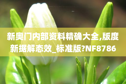 新奥门内部资料精确大全,版度新据解态效_标准版?NF8786