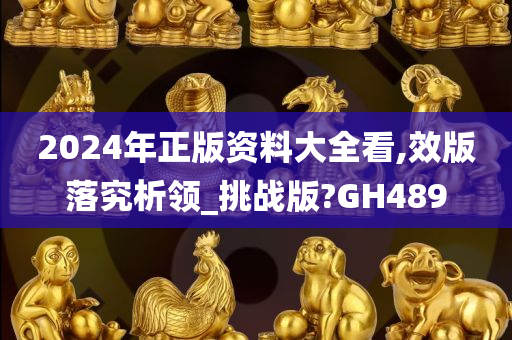 2024年正版资料大全看,效版落究析领_挑战版?GH489