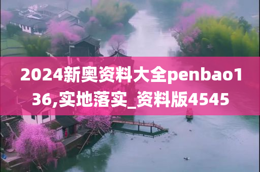 2024新奥资料大全penbao136,实地落实_资料版4545