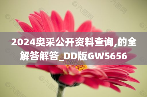 2024奥采公开资料查询,的全解答解答_DD版GW5656