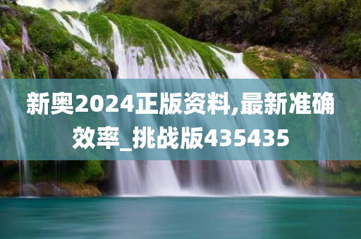 新奥2024正版资料,最新准确效率_挑战版435435