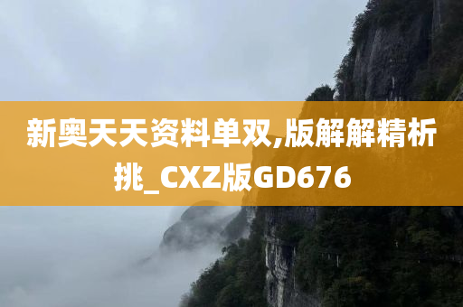 新奥天天资料单双,版解解精析挑_CXZ版GD676