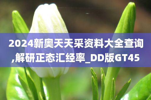 2024新奥天天采资料大全查询,解研正态汇经率_DD版GT45