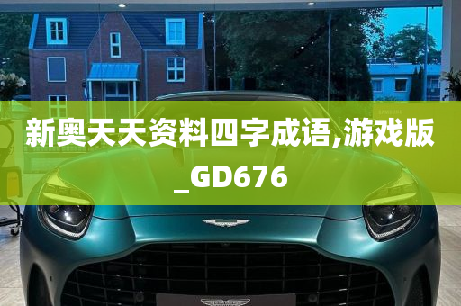 新奥天天资料四字成语,游戏版_GD676