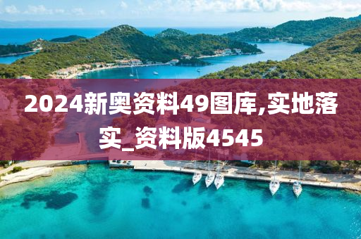 2024新奥资料49图库,实地落实_资料版4545