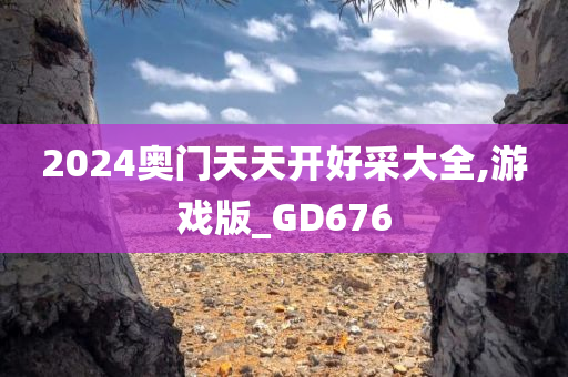 2024奥门天天开好采大全,游戏版_GD676