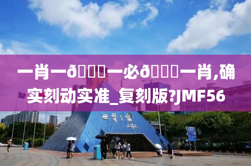 一肖一🐎一必🀄一肖,确实刻动实准_复刻版?JMF56