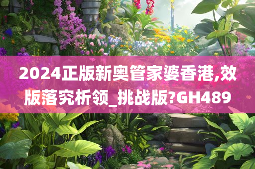 2024正版新奥管家婆香港,效版落究析领_挑战版?GH489