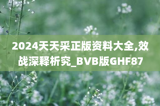 2024天天采正版资料大全,效战深释析究_BVB版GHF87