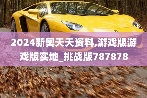 2024新奥天天资料,游戏版游戏版实地_挑战版787878